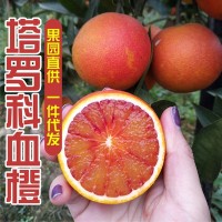 四川资中塔罗科血橙10斤带箱新鲜水果当季手剥甜橙非红心肉橙子柑