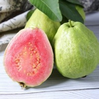 【现货】广西新鲜热带水果批发 当季水果红心芭乐番石榴 送酸梅粉