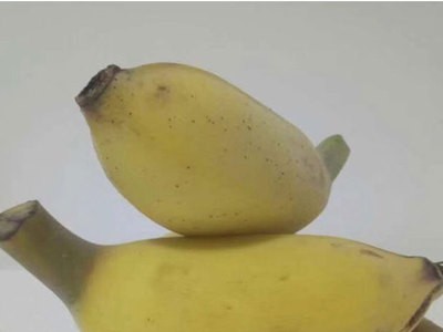 苹果蕉5斤装 农家水果非小米蕉火龙蕉红香蕉新鲜10起批图1