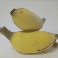 苹果蕉5斤装 农家水果非小米蕉火龙蕉红香蕉新鲜10起批