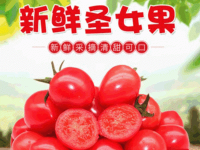一件包邮新鲜现摘樱桃西红柿季生吃蔬菜小柿子批发零售48小时发货图1