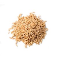 熟燕麦米 裸燕麦 燕麦 莜麦 500克 一件代发