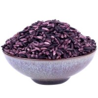 紫米 烘焙紫米 熟紫米 五谷杂粮 血糯米 一件代发