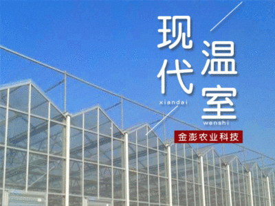 现代智能温室大棚 连栋玻璃温室厂家 定制生态育苗智能阳光板材料图1