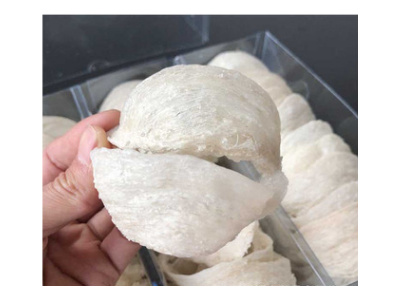 燕窝半干挑中盏正品5A中大盏自然薄底精修角不作水孕妇滋补批发图1