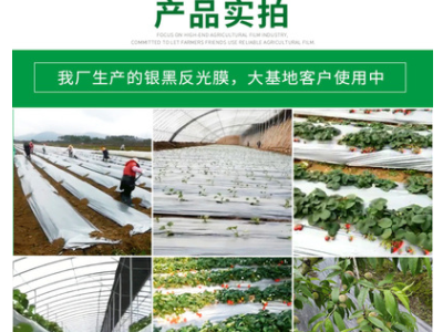 产地货源农膜 长寿银黑地膜 防晒除草地膜 反光地膜 防老化银黑膜图1