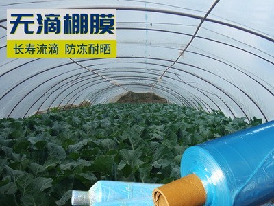 大棚膜PE长寿抗老化西瓜淡蓝色农用温室PO葡萄蔬菜透明无滴双防膜图1