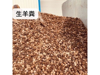 有机绿色羊粪颗粒有机肥图1