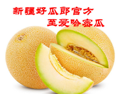 新疆好瓜郎至爱哈密瓜 整箱8至10斤买一箱送一箱 顺丰图1