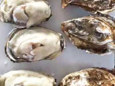 乳山半壳牡蛎批发 新鲜海产品海蛎子生蚝 生鲜烧烤食材半壳牡蛎图1