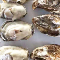 乳山半壳牡蛎批发 新鲜海产品海蛎子生蚝 生鲜烧烤食材半壳牡蛎