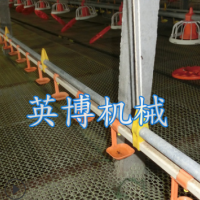 供应 养鸡水线设备 肉鸡水线 自动化养殖水线 英博