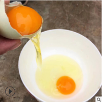 黄山山林散养土鸡蛋月子蛋孩子辅食鸡蛋绿色营养蛋,40颗/箱