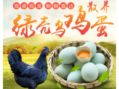 湘中文凤散养绿壳乌鸡蛋农家纯粮新鲜乌骨鸡蛋草鸡蛋初生柴土鸡蛋图1