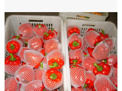 产地常年大量供应出口级红色黄色绿色新鲜五彩椒图1