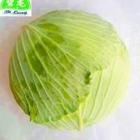 常年大量供应2021保鲜蔬菜各种包菜类圆包菜扁包菜紫甘蓝