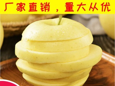 黄元帅黄金苹果新鲜水果10斤装现摘黄金帅苹果非奶油富士金苹果图1