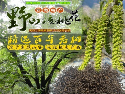 新货云南特产野生核桃花泡水山菜野菜龙须菜采摘天然新鲜花茎晒干图1