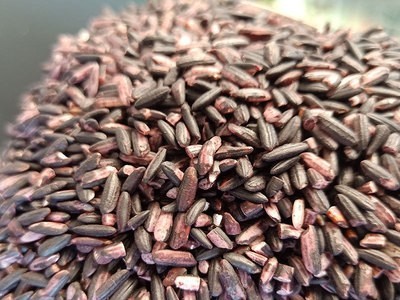 云南墨江紫米优质新米正宗老品种农家自种紫糯米粗粮煮粥蒸饭500g图1