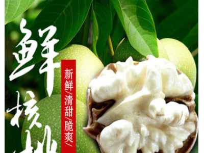 去青皮新鲜湿核桃现摘现发云南高山应季水果核桃自然成熟孕妇零食图1