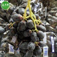 智利无籽黑提批发8.2kg 新鲜水果黑加仑葡萄提子江南市场发货