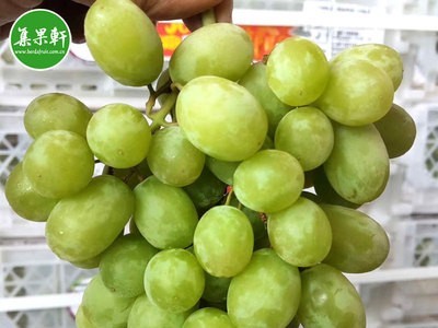 无籽青提智利8.2kg原箱批发 智利青提新鲜脆甜水果店电商货源图1