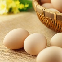 鹏昌鲜鸡蛋 精选130-160天产的鸡蛋 俗称“初生蛋”胜土鸡蛋 30枚