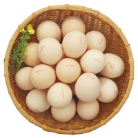鹏昌 富硒鸡蛋健康鸡蛋广东名牌鸡蛋产蛋24小时内新鲜发货20枚