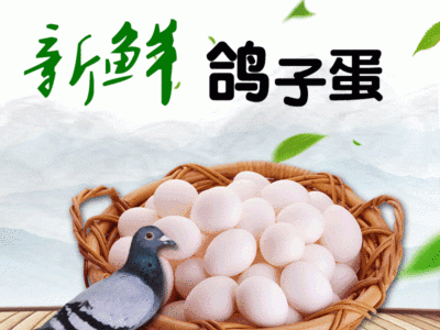 【40枚装】批发新鲜农家杂粮散养鸽子蛋食用土特产鸽子蛋图1