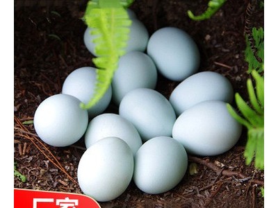 我老家土鸡蛋50枚 鸡场直销农家散养绿壳土鸡蛋批发一件代发图1