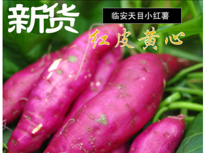 新货临安乐嘴天目小香薯5斤装新鲜番薯基地直供香甜红薯大小自选图1
