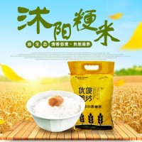 厂家批发苏北大米25公斤 圆粒珍珠米农产品粳米直批代发25kg