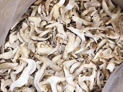 云南土特产食用菌松茸片 新货大球盖菇松茸片500g批发 松茸干货图1