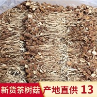 古田新货茶树菇干货 不开伞茶树菇散装批发20斤装 菌菇干货