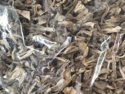 菌菇干货中号鹿茸菇 酒店餐饮食材干货鹿茸菌批发量大从优图1