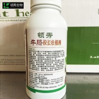 供应牛膝专用叶面肥