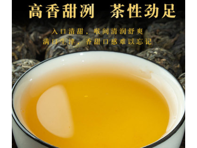现货批发 大雪山龙珠 云南普洱茶生茶 散装春茶 厂家直发图1