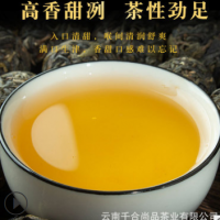 现货批发 大雪山龙珠 云南普洱茶生茶 散装春茶 厂家直发