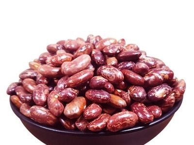 芸豆种籽豆角种籽四季菜种籽蔬菜种孑春季秋冬农花芸豆种子图1