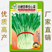 8克白梗四季空心菜种籽 青叶通菜藤藤菜柳叶通心菜 蔬菜种子批发