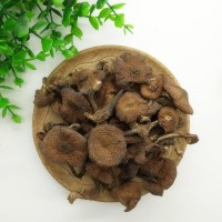 长白山榛蘑500克吉林东北特产干货野生蘑菇