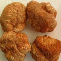 东北猴头菇250克干货山猴头蘑菇干货长白山特产猴头菌煲汤非500克
