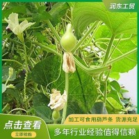 厂家销售干瓢葫芦条 葫芦条寿司材料 食品包扎捆扎用葫芦丝