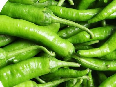 龙椒 尖椒 新鲜辣椒 新鲜蔬菜批发 放心菜图1