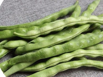 四季豆 芸豆 豆角 新鲜蔬菜批发 放心菜图1