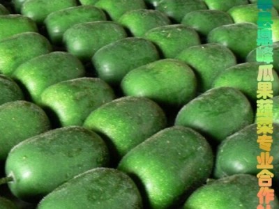 批发供应脆甜特色蔬菜小冬瓜图1