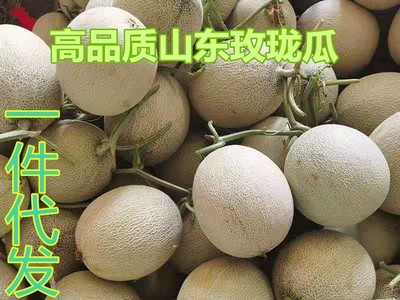山东玫珑瓜网纹瓜哈密瓜新鲜当季孕妇水果纯甜现摘包邮一件代发图1