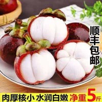 【顺丰冷链】新鲜山竹优质6A精品包邮当季新鲜孕妇水果一件代发