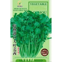 菜园蔬菜种子抗热进口大叶芫茜香菜30克阳台院子菜籽厂家批发