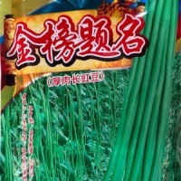 批发蔬菜种子 华赣翠绿长豆角 基地 菜园 菜场种子 400克厂家供应